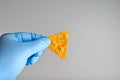 Gloved hand holding a hot tortilla chip for hot chip challenge. Royalty Free Stock Photo