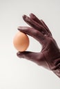 A gloved hand holds a single egg.