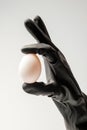 A gloved hand holds a single chicken egg.