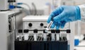Gloved hand positioning barcoded test tube within sterile laboratory storage rack Royalty Free Stock Photo