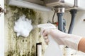 Removing mold from a kitchen cabinet with a spray bottle and cleaning solution Royalty Free Stock Photo