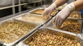 Gloved Hands Arranging Food In Metal Trays Royalty Free Stock Photo