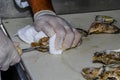 Chef Shucking Oysters Royalty Free Stock Photo