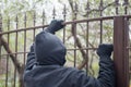 Gloved hands on fence closeup. Male thief an with hands in gloves trying to climb up a metal fence