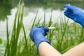 Gloved hands hold a chemical pipette and a glass slide with a drop of water. Sampling from open water. Scientist or