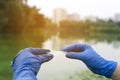 Gloved hands hold a glass slide with a drop of water. Sampling from open water. Scientist or biologist takes a water Royalty Free Stock Photo