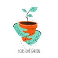 Gloved hands hold a pot with a seedling. Vector illustration on a white background Royalty Free Stock Photo