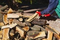 Gloved hands hold wooden log Royalty Free Stock Photo