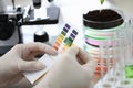 Gloved hands holding paper to test soil acidity