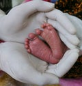 Gloved hands holding tiny baby feet medical care of new born baby in hospital holding baby feet in hands