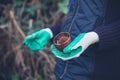 Gloved hands with pot plant Royalty Free Stock Photo