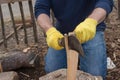 Gloved Hands Trimming Firewood with Machete Royalty Free Stock Photo