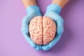 Gloves holding a human brain model on a purple background Royalty Free Stock Photo