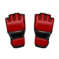 Gloves MMA in the vector.