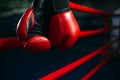 Gloves on the ring ropes, boxing concept, nobody Royalty Free Stock Photo