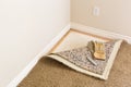 Gloves and Utility Knife On Pulled Back Carpet and Pad In Room. Royalty Free Stock Photo