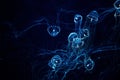 Glow in the dark jellyfish