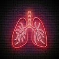 Glow Healthy Lungs, Human Respiratory System