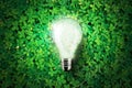 Glow light bulb is on green grass background , concept idea, illustration