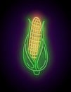 Glow single ear of sweetcorn with green leaves