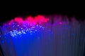 Glowing abstract multi color optical fibres close up macro shot Royalty Free Stock Photo
