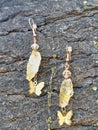 Glowing Amber earings on tree golden butterflies with tree sap running down trunk Royalty Free Stock Photo