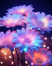 Glowing Beauty: A Mesmerizing Display of Blue and Pink Flowers a