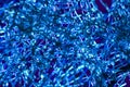 Glowing blue, abstract micrograph of fibers from an acorn. Royalty Free Stock Photo