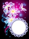 Transparent butterflies, flowers and white frame Royalty Free Stock Photo