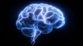 The glowing blue brain model, with its intricate neural network and anatomical structure, is set against a black Royalty Free Stock Photo