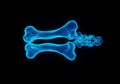 Glowing Blue 3D Render of Human Bone Structure Royalty Free Stock Photo