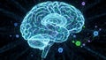 Glowing Blue Digital Brain with Connecting Neural Network Particles science Royalty Free Stock Photo