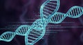 Digital DNA Helix with Binary Code, Genetic Engineering, Science Technology Concept Royalty Free Stock Photo