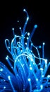 Glowing Blue Fiber Optic Strands on Black Background Royalty Free Stock Photo
