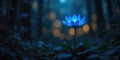 Glowing Blue Flower Illuminates Dark Forest with Bokeh Light Background Royalty Free Stock Photo