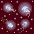 Glowing blue jellyfish. Sea jellyfish in the water. Cute bright vector jellyfish. Sea set. On a red background Royalty Free Stock Photo