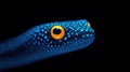 A Glowing Blue Snake Close up Royalty Free Stock Photo