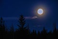 Glowing blurry full Moon above spruce forest top in clear night sky, lens flare halo around Moon disk