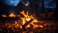 Glowing bonfire ignites nature beauty in dark forest generated by AI Royalty Free Stock Photo