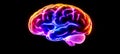 Glowing Brain Art And Science Combine In Stunning Representation Of Music, Memory, And The Mind