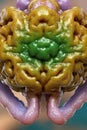Glowing brain cells and networks, seen under microscope lens