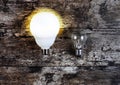 Glowing bulb uniqueness concept Royalty Free Stock Photo