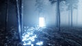 Glowing butterflies in fog night forest. Light portal door. Mistic and magic concept.3d render. Royalty Free Stock Photo