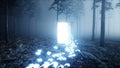 Glowing butterflies in fog night forest. Light portal door. Mistic and magic concept. Realistic 4k animation.