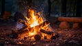 A glowing campfire in the wilderness