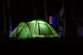 Glowing camping tent in the wood.