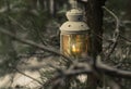 Glowing candle in lantern hanging on fir tree branch in winter forest. Christmas scene Royalty Free Stock Photo