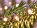 Glowing Christmas lights. Christmas tree decorated with garlands