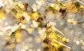 Glowing christmas lights in corked glass tubes on craft surrounded by warm glowing round lights. Blurred, bokeh background