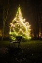 Glowing Christmas tree in park of a small city at night Royalty Free Stock Photo